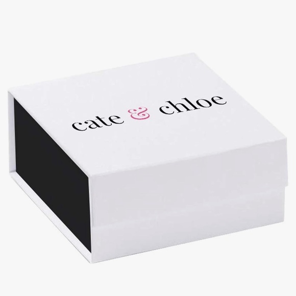 Cate & Chloe 18k White Gold Plated Halo Pendant Necklace & Crystal Stud Earrings - Picture 5 of 10